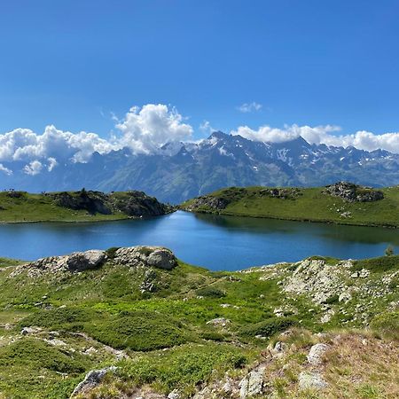 Chalet La Perle De L'Oisans - Appartements D'Exception Vaujany Εξωτερικό φωτογραφία